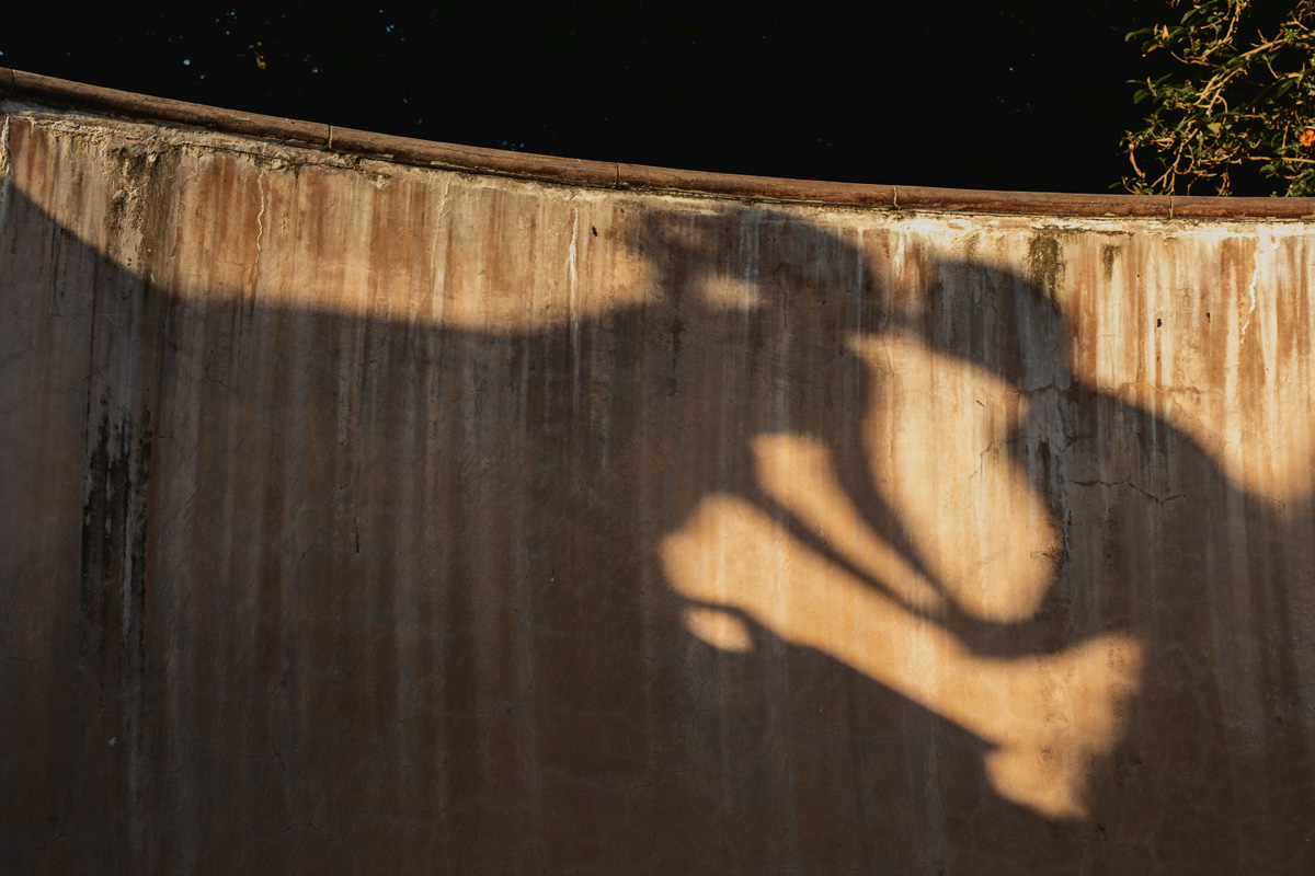 singapore-prewedding-photography-ej0033